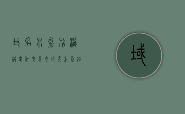 域名非盈利机构是什么意思（域名非盈利机构是什么意思呀），域名非盈利机构的含义解析