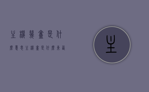 主机几盒是什么意思（主机盒是什么东西），关于主机几盒的解析，主机盒是什么？，解析主机盒，定义、功能及关于主机几盒的解析说明，关于主机几盒的解析，定义、功能及主机盒是什么？