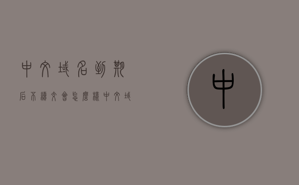 中文域名到期后不续交会怎么样（中文域名到期后不续交会怎么样呢），中文域名到期后不续交的后果解析，中文域名到期后不续交的后果解析，域名失效与潜在风险探讨
