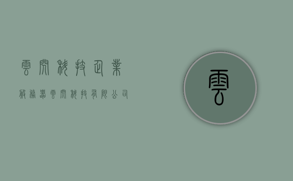 云闪科技企业服务器（云闪科技有限公司），云闪科技企业服务器概览，云闪科技有限公司的技术与服务