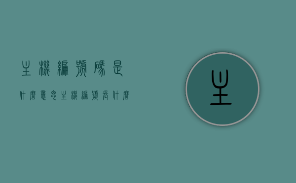 主机编号码是什么意思（主机编号长什么样），关于主机编号码的含义与外观描述