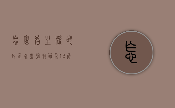 怎么看主机的配置和型号啊苹果13（苹果13在哪里看型号），如何查看苹果13主机配置和型号？，如何查看苹果13主机配置和型号？详细步骤解析！
