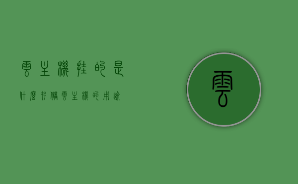 云主机挂的是什么存储（云主机的用途），云主机挂载存储类型解析及用途探讨，云主机挂载存储类型解析，存储选择与用途探讨