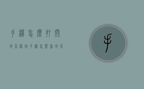 手机怎么打开域名网站（手机怎么看域名），手机如何访问域名网站，简单教程，手机访问域名网站的简单教程，如何打开与浏览域名网站？