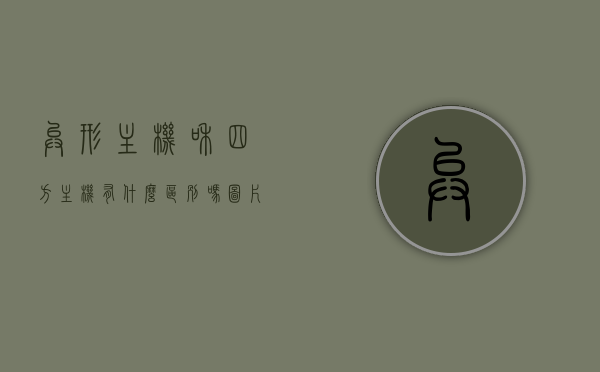 异形主机和四方主机有什么区别吗图片（异形机箱和普通机箱哪个好），异形主机与四方主机对比，异形机箱和普通机箱哪个更优？图解差异分析，异形主机与四方主机对比，异形机箱和普通机箱的差异分析图解及选择指南，异形主机与四方主机对比，机箱差异分析与选择指南图解，哪个更优？选择指南图解分析。