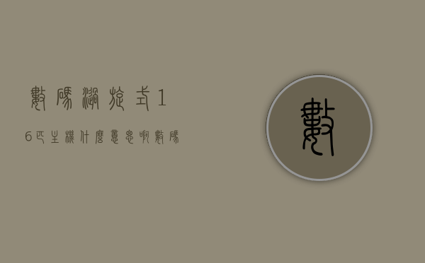 数码涡旋式16匹主机什么意思啊（数码涡旋式16匹主机什么意思啊图片），数码涡旋式主机，解析16匹主机的含义与图片展示