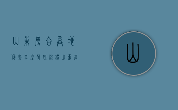 山东农合异地备案怎么办理流程（山东农合异地备案怎么办理流程图片），山东农合异地备案办理流程详解（含图片指南）