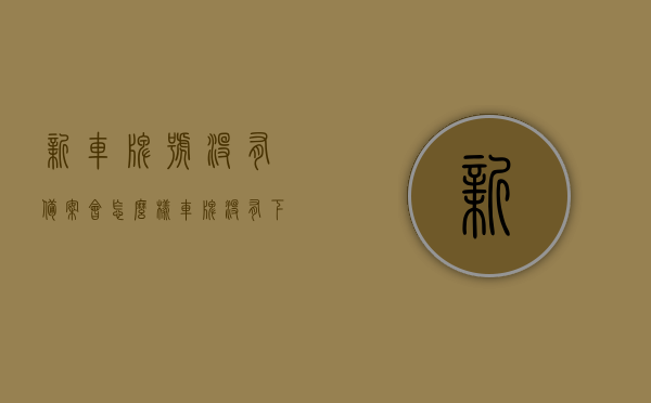 新车牌号没有备案会怎么样（车牌没有下来怎么备案交管12123），新车牌号备案问题解析，未备案会如何？交管12123车牌备案流程指导，新车牌号备案问题解析，未备案后果及交管12123车牌备案流程指导，新车牌号备案解析，未备案后果及交管12123车牌备案流程指南