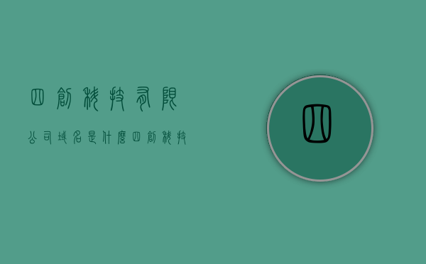 四创科技有限公司域名是什么（四创科技有限公司域名是什么样的），四创科技有限公司域名解析及查询指南 第1张
