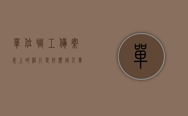 单位职工备案表上的照片是什么（用人单位职工备案表），用人单位职工备案表上的照片介绍及作用解析，用人单位职工备案表照片解析，功能、作用及介绍