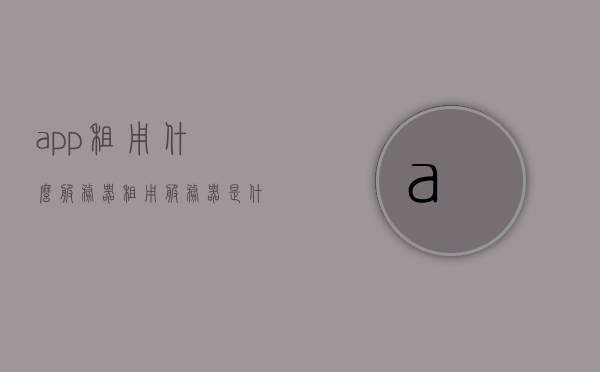 app租用什么服务器（租用服务器是什么意思），App租用服务器解析，什么是服务器租用？，App租用服务器详解，概念、解析与选择指南，App服务器租用全解析，概念、详解与选择指南