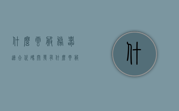 什么云服务器适合代码开发（有什么云服务器），适合代码开发的云服务器推荐及选择指南，适合代码开发的云服务器推荐与选择指南，全面解析云服务器类型及推荐选择方案