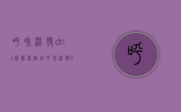 呼和浩特dns服务器租用（呼和浩特DNS地址），呼和浩特DNS服务器租用及地址详解，呼和浩特DNS服务器租用详解，包括服务器地址与租用服务指南，呼和浩特DNS服务器租用全攻略，地址与服务指南