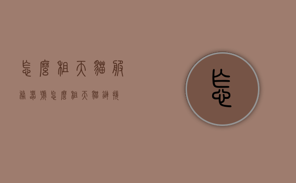 怎么租天猫服务器号（怎么租天猫链接），如何租赁天猫服务器号（天猫链接租用指南），天猫服务器号租赁指南，如何租用到天猫链接及服务器号攻略，天猫服务器号与链接租赁指南，租用攻略及操作指南，天猫服务器号与链接租赁全攻略，操作指南及租用指南详解，天猫服务器号与链接租赁全攻略，操作、租用指南详解。