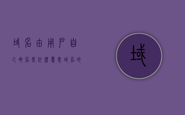 域名由用户自己命名是什么意思（域名的命名由什么负责定义），域名自定义详解，用户如何命名域名及其定义责任解析，域名自定义详解，用户如何命名域名及其定义责任解析，域名自定义详解，用户如何命名域名及其定义责任解析与域名命名规则解析，域名自定义详解，用户如何命名域名、定义责任与命名规则解析 第1张