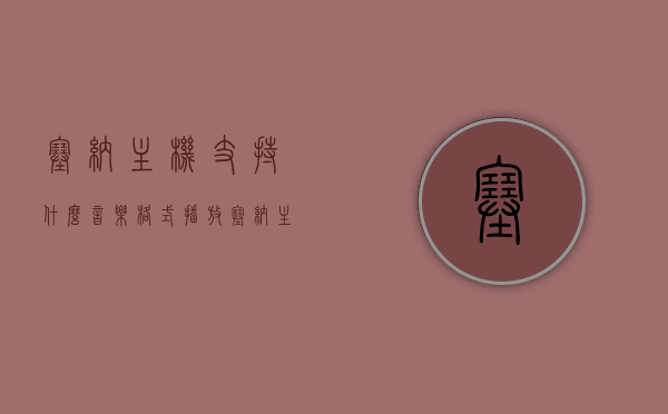 塞纳主机支持什么音乐格式播放（塞纳主机设计carplay），塞纳主机支持的音乐格式播放及CarPlay设计概述，塞纳主机，支持的音乐格式播放与CarPlay设计概述，塞纳主机音乐格式播放与CarPlay设计概览，全面解析支持的音乐格式及功能特点