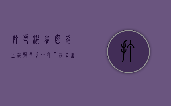 打印机怎么看主机号是多少（打印机怎么看主机号是多少啊），如何查看打印机主机号？