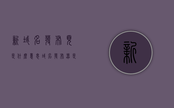 新域名发布页是什么意思（域名发布器是什么意思），新域名发布页及域名发布器详解，概念与功能解析
