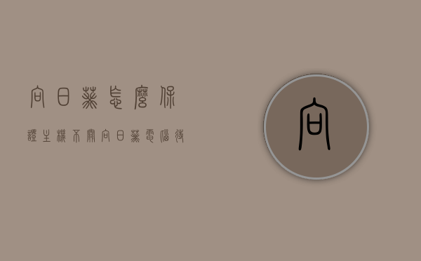 向日葵怎么保证主机不关（向日葵电脑待机状态下怎么控制），向日葵如何确保主机持续运行及待机状态下的控制方法，向日葵主机持续运行与待机状态下的控制方法，保证主机不关机策略