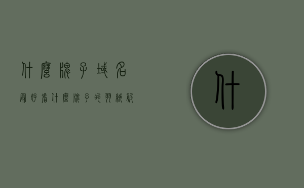 什么牌子域名最好看（什么牌子的羽绒服最好），关于域名与羽绒服品牌，最美观的域名牌子与顶级羽绒服品牌探讨，关于域名与羽绒服品牌，最美观域名牌子与顶级羽绒服品牌的探讨与比较