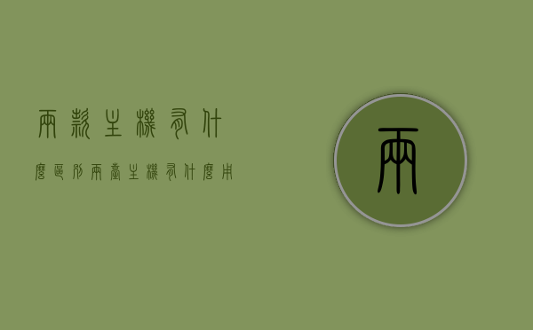 两款主机有什么区别（两台主机有什么用），两款主机对比，功能差异与用途解析，两款主机对比解析，功能差异与用途探讨