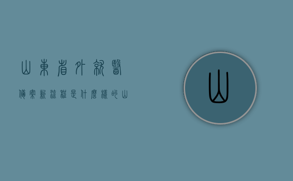 山东省外就医备案新流程是什么样的（山东省省内医保异地就医备案流程），山东省医保异地就医备案新流程解析，省外就医备案及省内跨地区就医指南，山东省医保异地就医备案新流程解析，省外就医与省内跨地区就医指南，山东省医保异地就医备案新流程解析，省外就医与省内跨地区就医指南