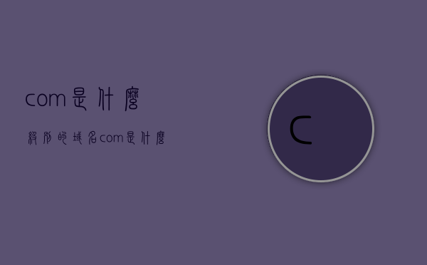com是什么级别的域名（com是什么域名后缀），com域名的级别与后缀解析，顶级国际域名的重要性