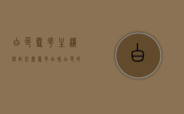 白色雪花主机搭配什么（雪花白和白色的区别是什么颜色），白色雪花主机搭配指南，雪花白与纯白的色彩差异及搭配建议