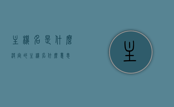主机名是什么决定的（主机名什么意思），关于主机名的决定因素及其含义解析，解析主机名的决定因素及其含义，什么是主机名？如何命名？，主机名的解析，决定因素、含义与命名方法详解