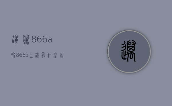 迈腾866a和866b主机有什么不同（迈腾866和869），迈腾866A与866B主机差异解析（及与869对比），迈腾866A与866B主机差异解析，对比869型号的特点与差异