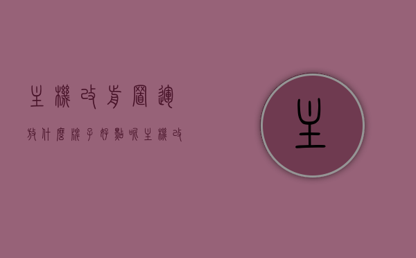 主机改前置运放什么牌子好点呢（主机改前置放大器），主机改前置放大器，选择优质品牌运放推荐