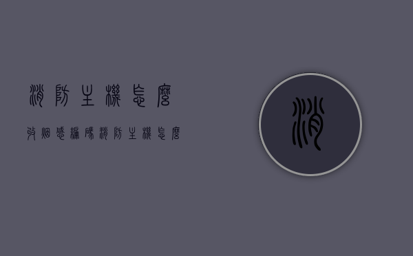 消防主机怎么收烟感编码（消防主机怎么连接烟感报警器），消防主机烟感编码收取及烟感报警器连接教程，消防主机烟感编码收取与烟感报警器连接教程，详细步骤解析，消防主机烟感编码收取与烟感报警器连接教程，详细步骤解析及指南，消防主机烟感编码收取与连接烟感报警器全程指南，详细步骤解析及操作指南，消防主机烟感编码收取与连接烟感报警器全程详解，步骤解析及操作指南，消防主机烟感编码收取与连接烟感报警器全程详解，步骤指南及操作手册