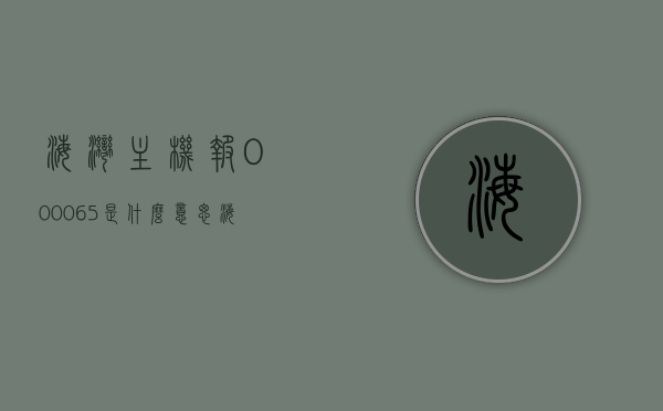 海湾主机报000065是什么意思（海湾主机故障代码），海湾主机故障代码解析，报错代码000065的含义与解决方案，海湾主机故障代码解析，报错代码000065的含义与解决方案探讨，海湾主机故障代码解析，报错代码000065的含义、解决方案及探讨