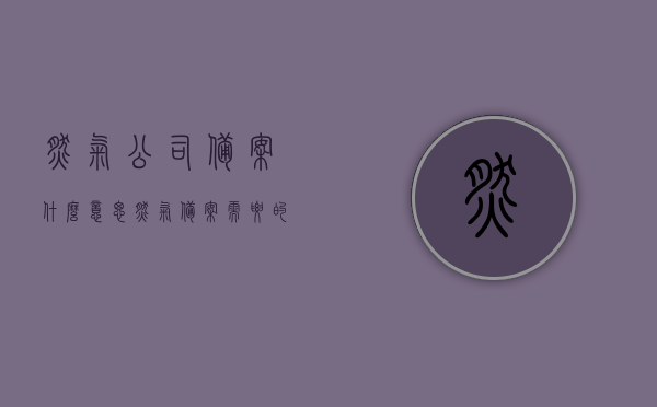 燃气公司备案什么意思（燃气备案需要的资料），燃气公司备案详解，所需资料与流程概述