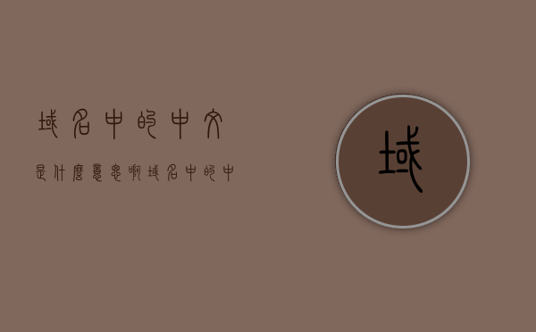 域名中的中文是什么意思啊（域名中的中文是什么意思啊怎么写），域名中的中文含义解析及写法指南