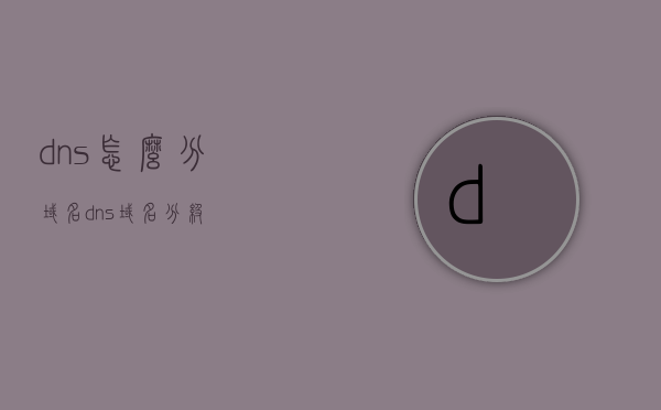 dns怎么分域名（dns域名分级），DNS域名分级详解，如何分割域名？