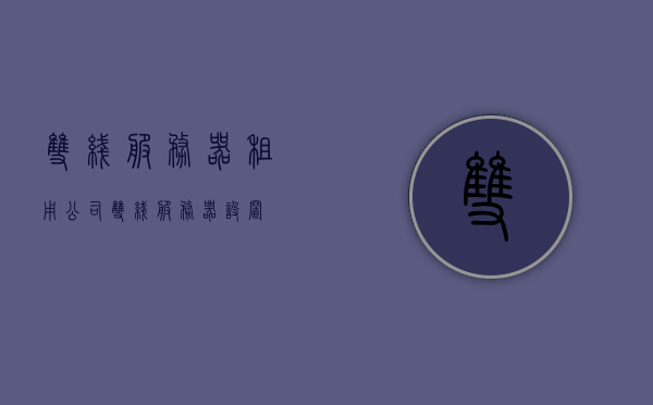 双线服务器租用公司（双线服务器设置），双线服务器租用与设置公司服务概述