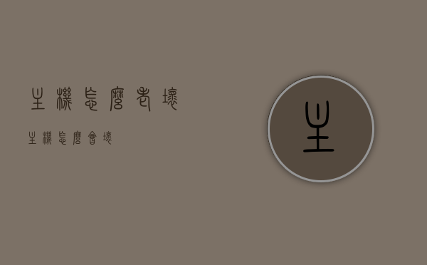主机怎么老坏（主机怎么会坏），主机频繁故障的原因解析，主机频繁故障解析，探究主机损坏的原因与解决方案，主机频繁故障解析，原因探究与解决方案探讨，主机频繁故障解析，原因探究与解决方案探讨，主机频繁故障解析，原因探究与解决方案探讨，主机频繁故障解析，原因探究与解决方案探讨，主机频繁故障解析，原因探究与解决方案探讨 第1张