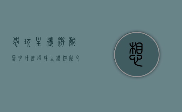 想玩主机游戏需要什么硬件（主机游戏要什么设备），主机游戏所需硬件设备简介，玩转主机游戏需要哪些硬件？