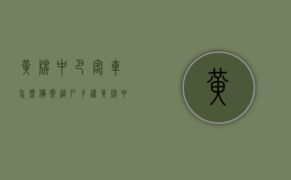 黄牌中巴客车怎么备案过户手续（黄牌中巴车可以走公交车道吗），黄牌中巴客车备案过户手续详解，能否走公交车道？，黄牌中巴客车备案过户手续详解，能否走公交车道？攻略分享！
