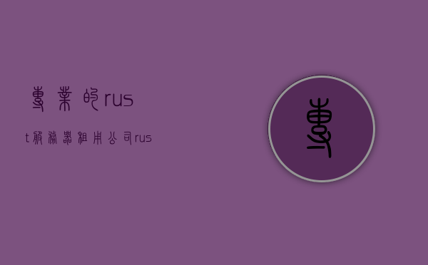 专业的rust服务器租用公司（rust服务器介绍），专业的Rust服务器租用公司，全面解析Rust服务器服务与特性