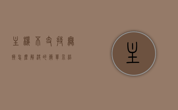 主机不支持无损怎么解决的简单介绍，主机不支持无损解决方法的简介，主机不支持无损音频解决方案简介，主机不支持无损音频的解决方案简介，主机不支持无损音频的解决策略简介 第1张