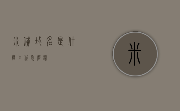 米贷域名是什么（米贷怎么样），米贷域名解析及评价