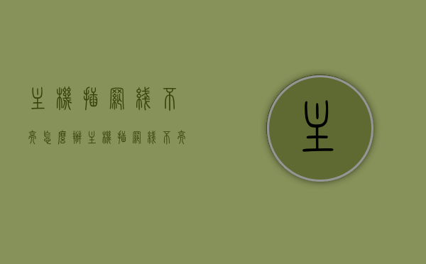 主机插网线不亮怎么办（主机插网线不亮怎么办呀），解决主机插网线不亮问题的实用指南，解决主机插网线不亮问题的实用指南与操作建议