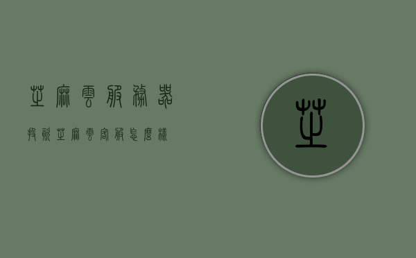 芝麻云服务器投资（芝麻云客服怎么样），芝麻云服务器投资及客服服务质量探讨，芝麻云服务器投资与客服服务质量深度探讨，服务器投资与云客服体验分析