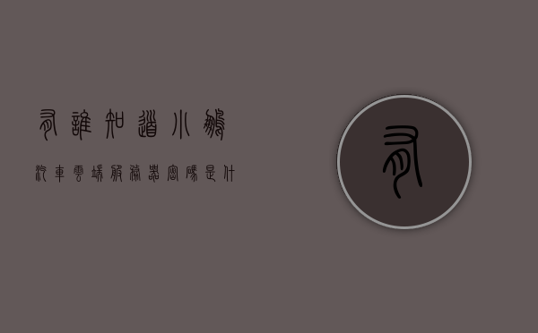 有谁知道小鹏汽车云端服务器密码是什么（小鹏汽车服务模式），小鹏汽车云端服务器密码揭秘及服务模式探究，小鹏汽车云端服务器密码揭秘及服务模式深度探究，小鹏汽车云端服务器密码及服务模式深度探究揭秘文章分享