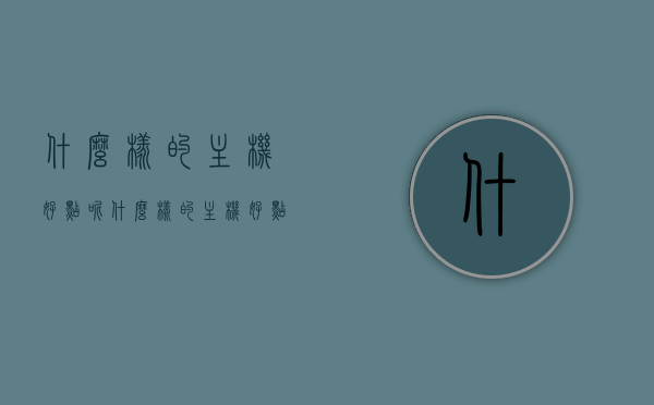 什么样的主机好点呢（什么样的主机好点呢），如何选择优质主机，购买指南与要素解析，优质主机选购指南，挑选要点与购买解析