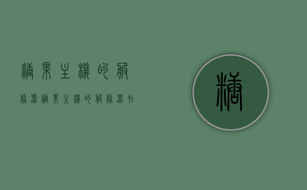 糖果主机的服务器（糖果主机的服务器在哪里），糖果主机服务器位置揭秘，服务器所在地及功能概述