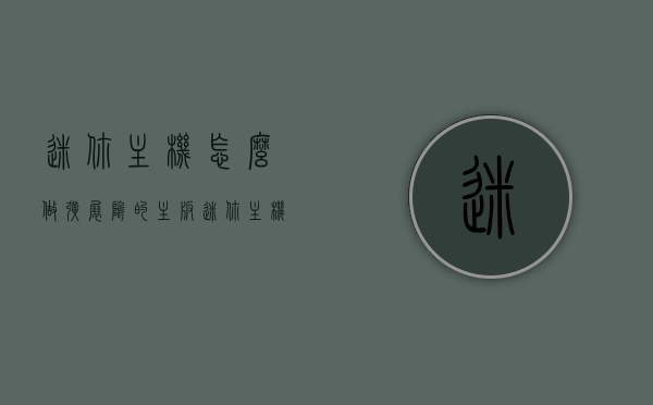 迷你主机怎么做扩展坞的主板（迷你主机怎么装内存条），迷你主机扩展坞主板搭建指南，内存条安装详解，迷你主机扩展坞主板搭建指南，内存条安装与详解