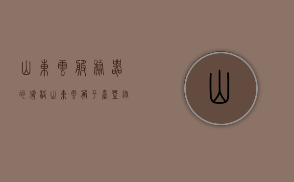 山东云服务器的价格（山东云服平台登录界面），山东云服务器价格及登录界面简介 第1张